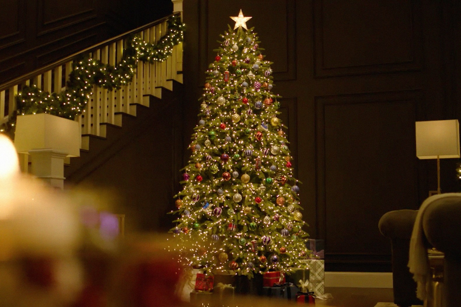 More Than Just a Festive Accessory A Guide to Dog Christmas Collars