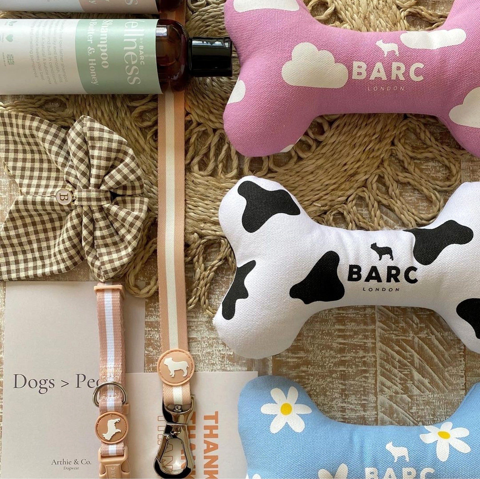 Pawsome Presents Best Gifts for Dogs Christmas