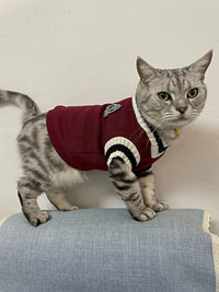 Thumbnail for Hand Knitted Cat Sweater