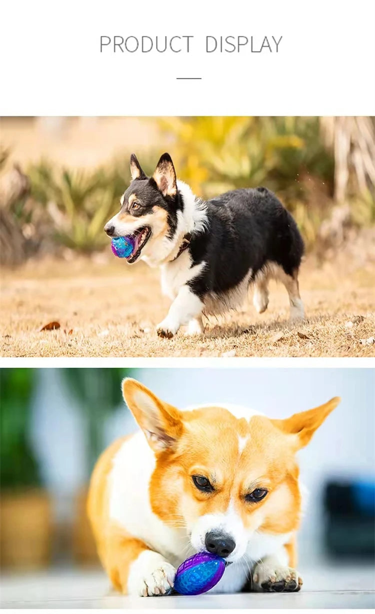 Dog Balls Toys, Durable Interactive Dog Toys, Gigwi Ball, Gigwi Pet Toys G-Ball, Puppy Toy, Gift For Pet 32
