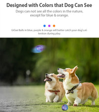 Thumbnail for Dog Balls Toys, Durable Interactive Dog Toys, Gigwi Ball, Gigwi Pet Toys G-Ball, Puppy Toy, Gift For Pet 32
