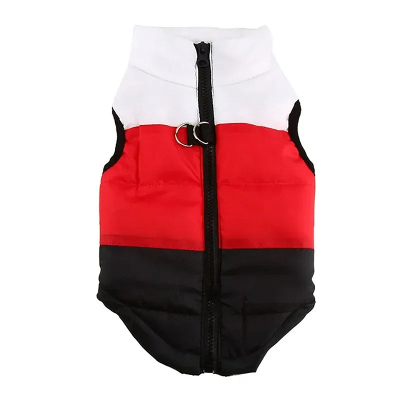 2PCS Winter Warm Dog Coat Jacket Windproof Dog Clothes for Small Dogs Padded Clothing Chihuahua Clothes Pet Supplies, Gift For Pet 140