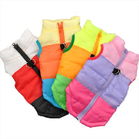 Thumbnail for 2PCS Winter Warm Dog Coat Jacket Windproof Dog Clothes for Small Dogs Padded Clothing Chihuahua Clothes Pet Supplies, Gift For Pet 140
