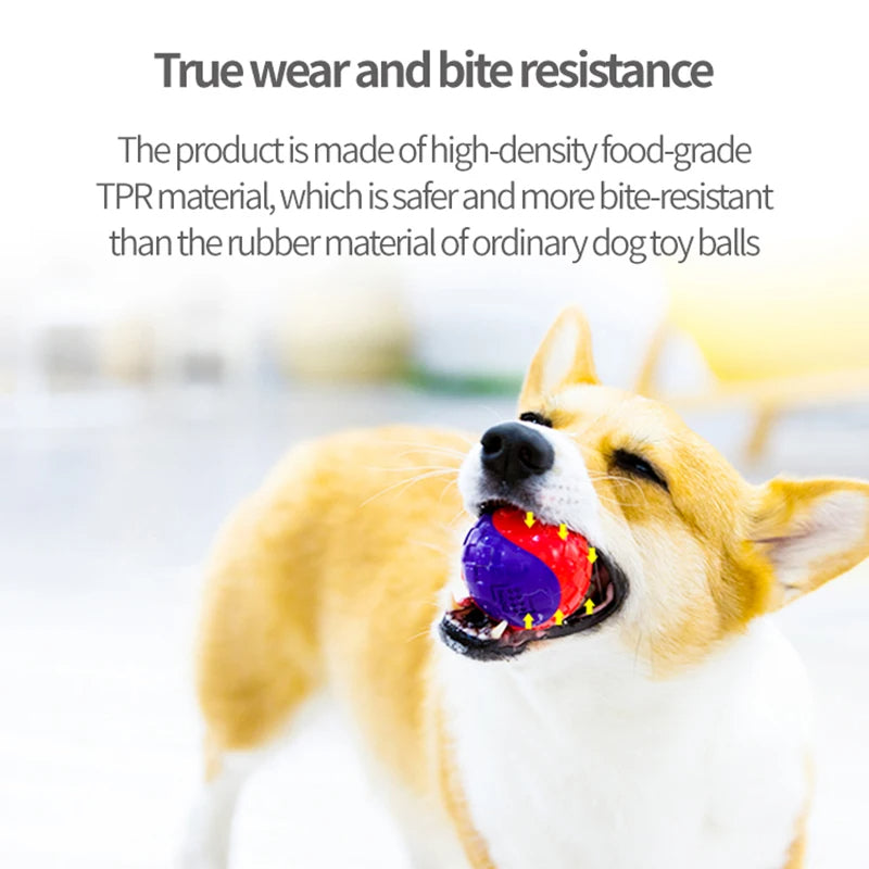 Dog Balls Toys, Durable Interactive Dog Toys, Gigwi Ball, Gigwi Pet Toys G-Ball, Puppy Toy, Gift For Pet 32