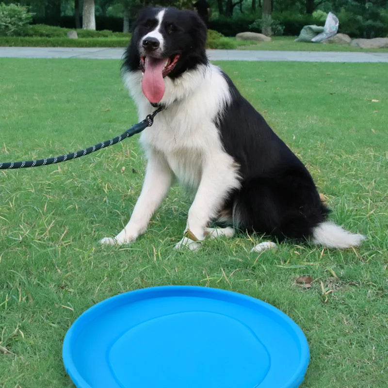 Pet Dog Flying Disk Toy Silicone Dog Cat Toy Dog Game Flying Discs Resistant Chew Puppy Training Interactive Pet Supplies, Puppy Toys, Gift For Pet 40
