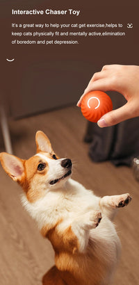 Thumbnail for Interactive Pet Ball Peppy Pet Ball Cat Toys Automatic Rolling Ball Automatic Moving Bouncing Rotating Ball Pet Ball Toys for Pet Dog Cat, Puppy Toys, Gift For Pet 42