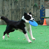 Thumbnail for Pet Dog Flying Disk Toy Silicone Dog Cat Toy Dog Game Flying Discs Resistant Chew Puppy Training Interactive Pet Supplies, Puppy Toys, Gift For Pet 40