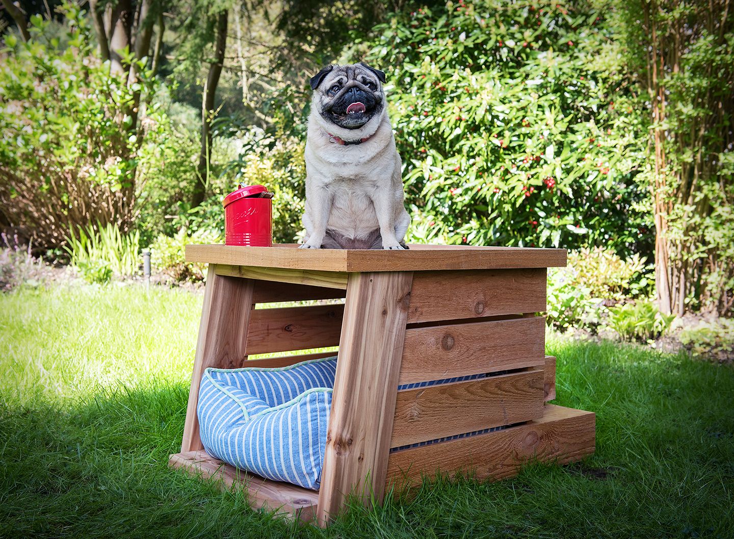 How to Build a Dog House A Step-by-Step Guide