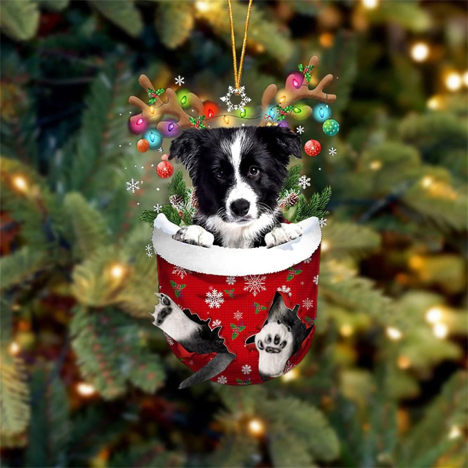 Christmas pet gift ideas for dogs