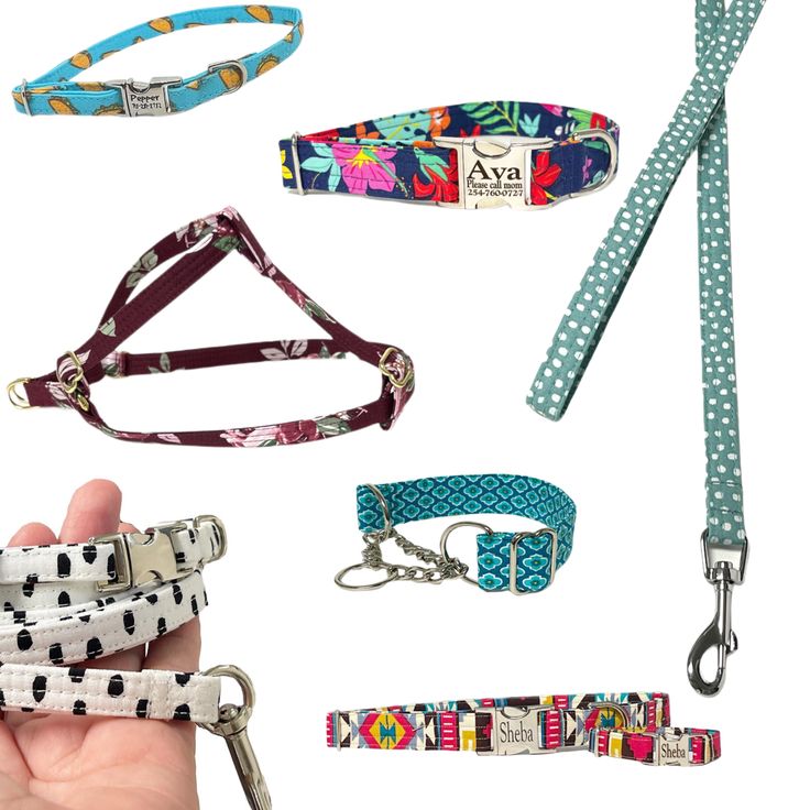 How to Pick a Dog Collar A Guide for Pet Owners