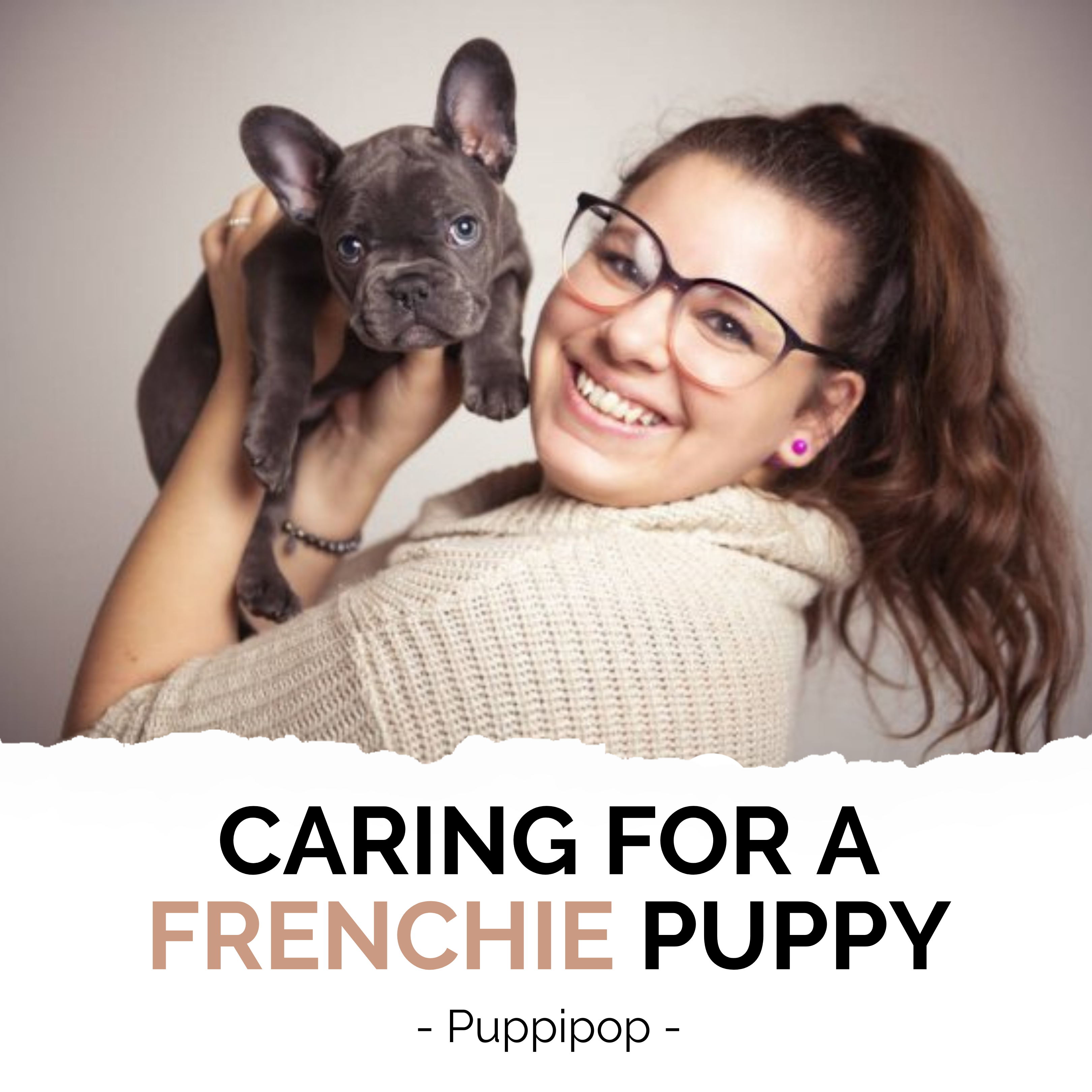 CARING FOR A FRENCHIE PUPPY