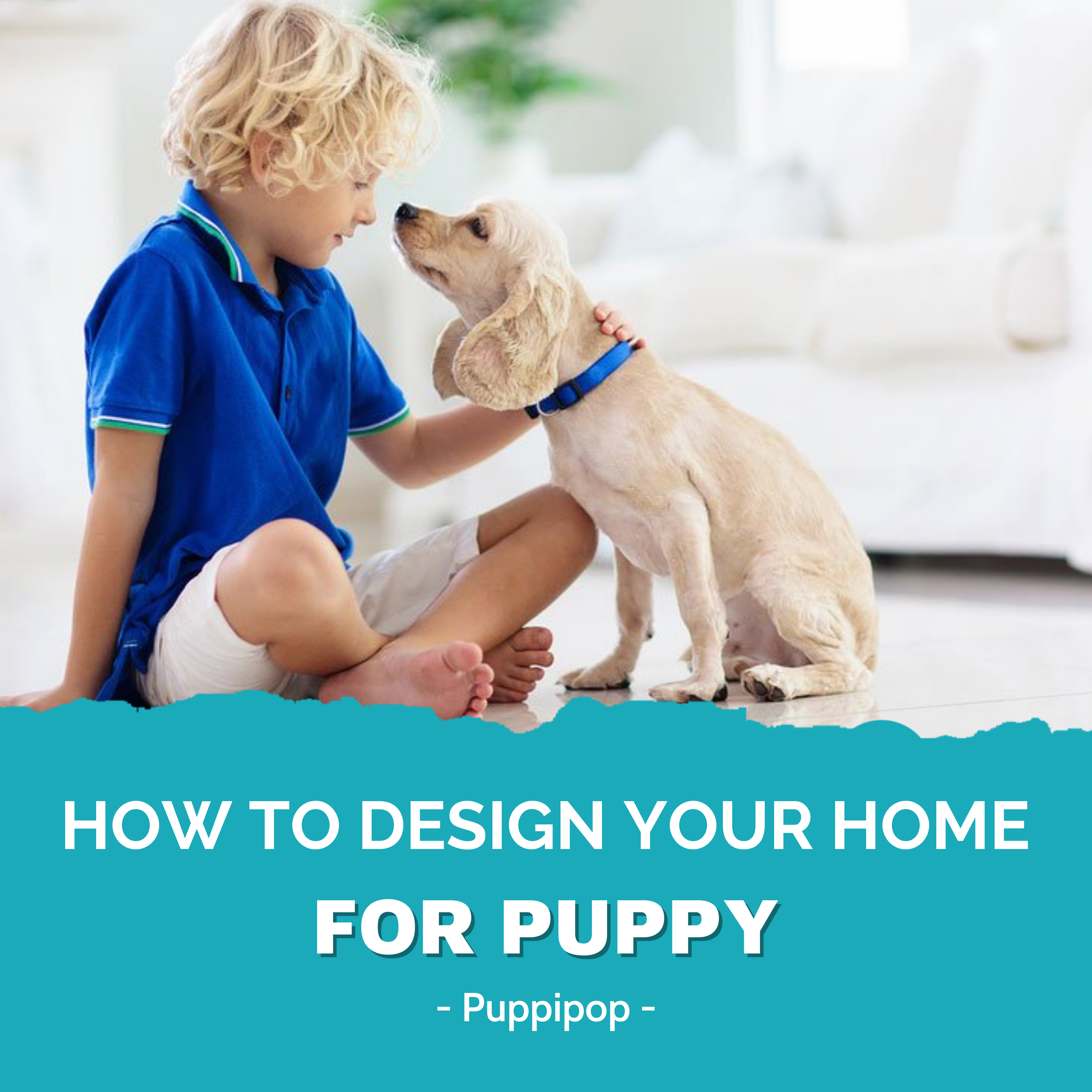 HOW TO DESIGN YOUR HOME FOR PUPPY