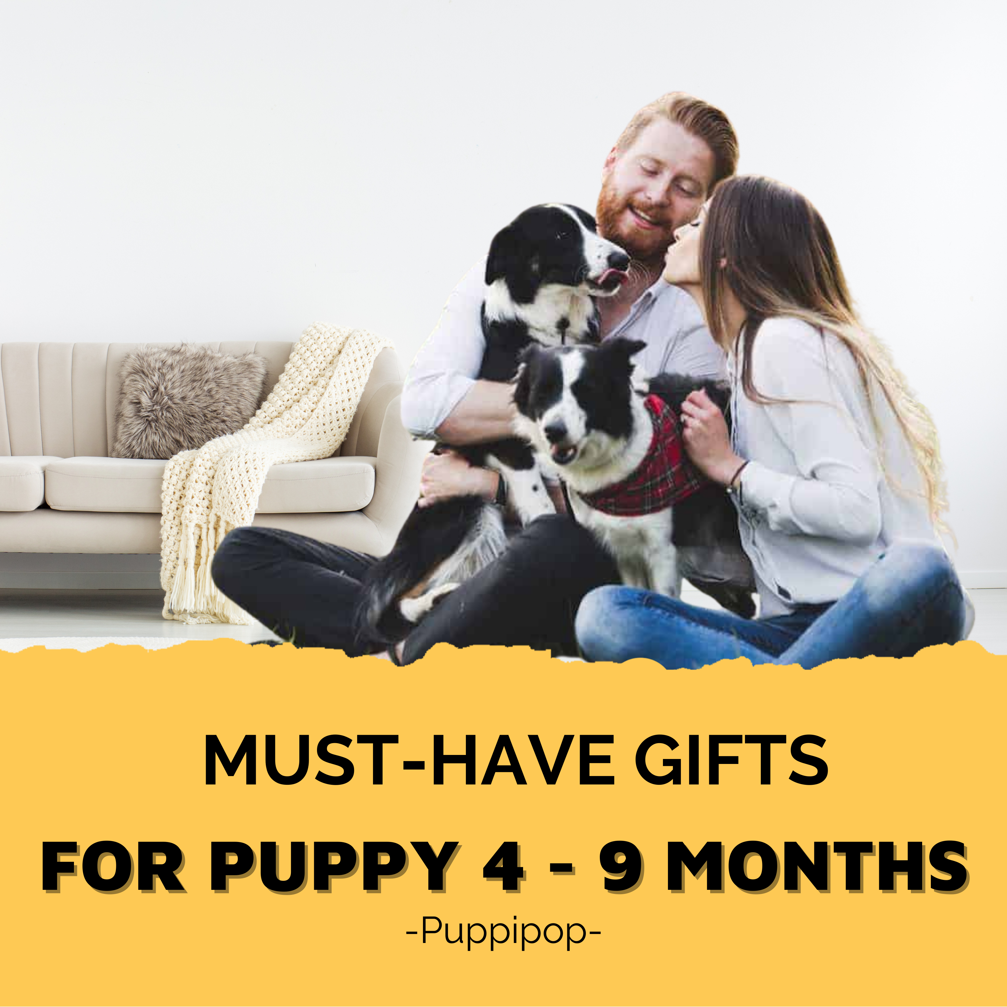 MUST-HAVE GIFTS FOR PUPPY 4-9 MONTHS