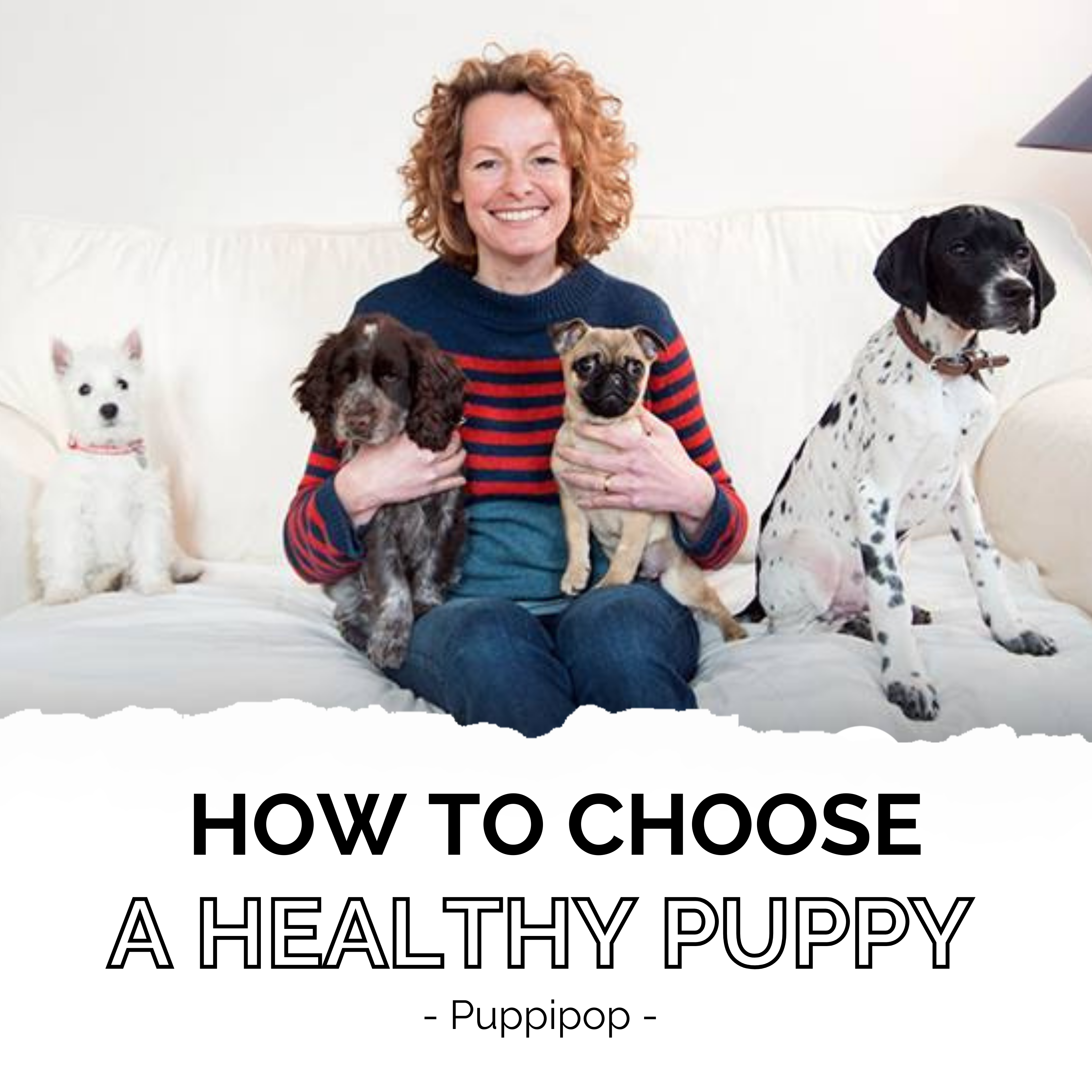 HOW TO CHOOSE A HEALTHY PUPPY