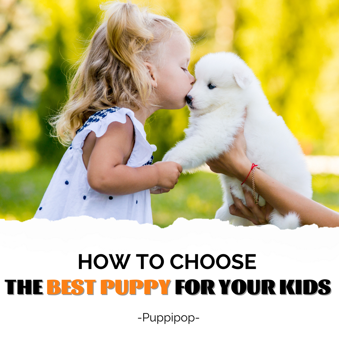 HOW TO CHOOSE THE BEST PUPPY FOR YOUR KIDS?