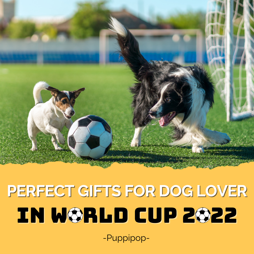 THE PERFECT GIFTS FOR DOG LOVER IN WORLD CUP 2022