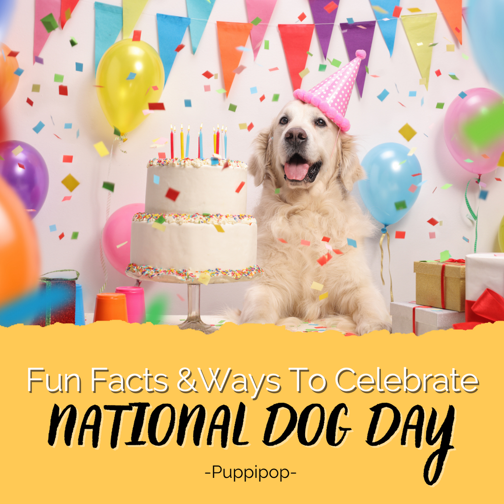 HAPPY NATIONAL DOG DAY 2021 FUN FACTS AND WAYS TO CELEBRATE FOR PUPP