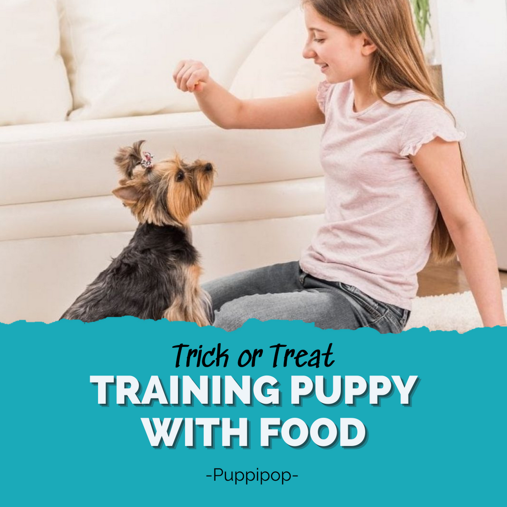 TRICK OR TREAT TRAINING PUPPY WITH FOOD Puppipop