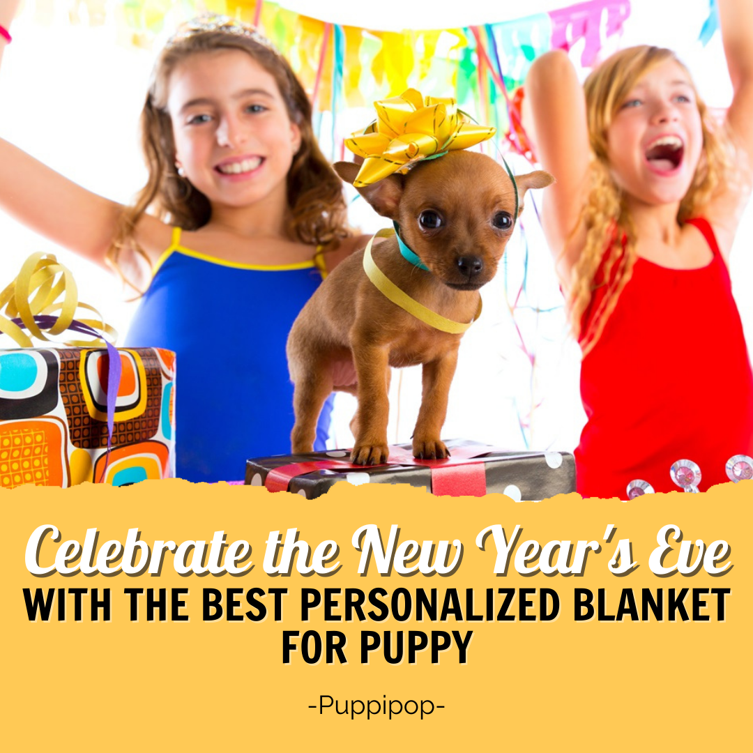 CELEBRATE THE NEW YEAR'S EVE WITH THE BEST PERSONALIZED BLANKET FOR PUPPY