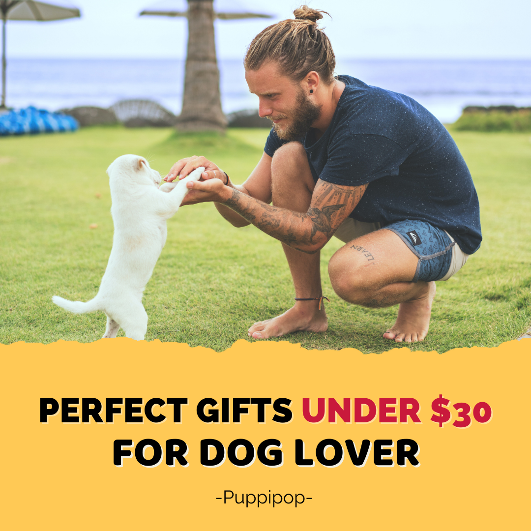 THE PERFECT GIFTS UNDER $30 FOR DOG LOVERS