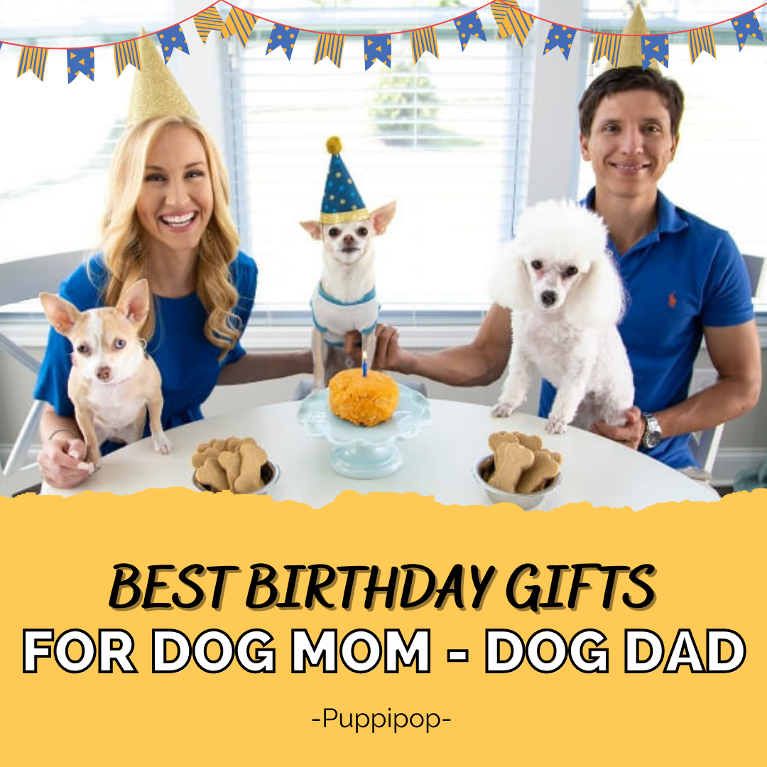 BEST BIRTHDAY GIFTS FOR DOG MOM - DOG DAD