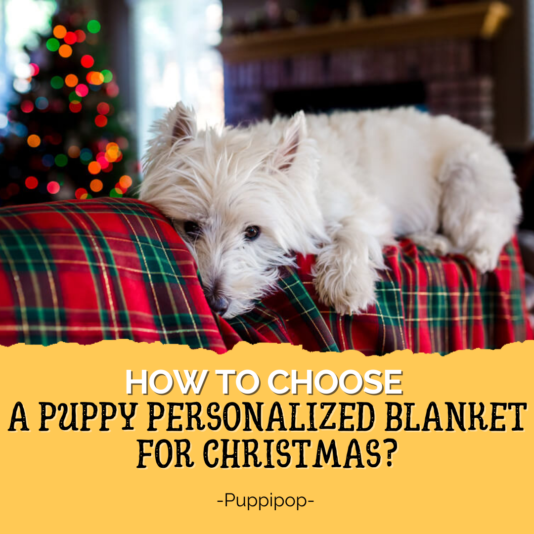 HOW TO CHOOSE A PERSONALIZED BLANKET FOR NEW PUPPY OWNER?