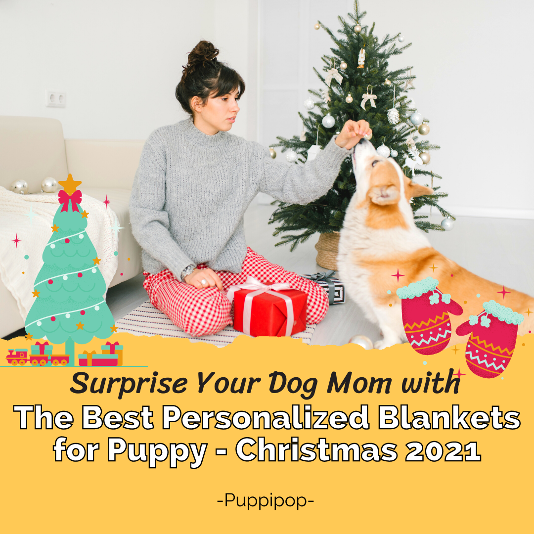 SURPRISE DOG MOM WITH BEST PERSONALIZED BLANKETS FOR PUPPIES THIS CHRISTMAS 2021