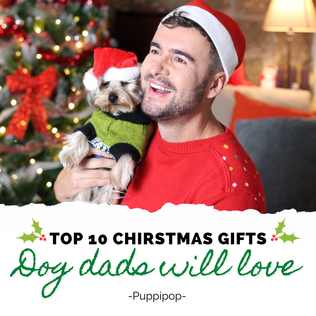 TOP 10 CHRISTMAS GIFT ALL DOG DADS WILL LOVE