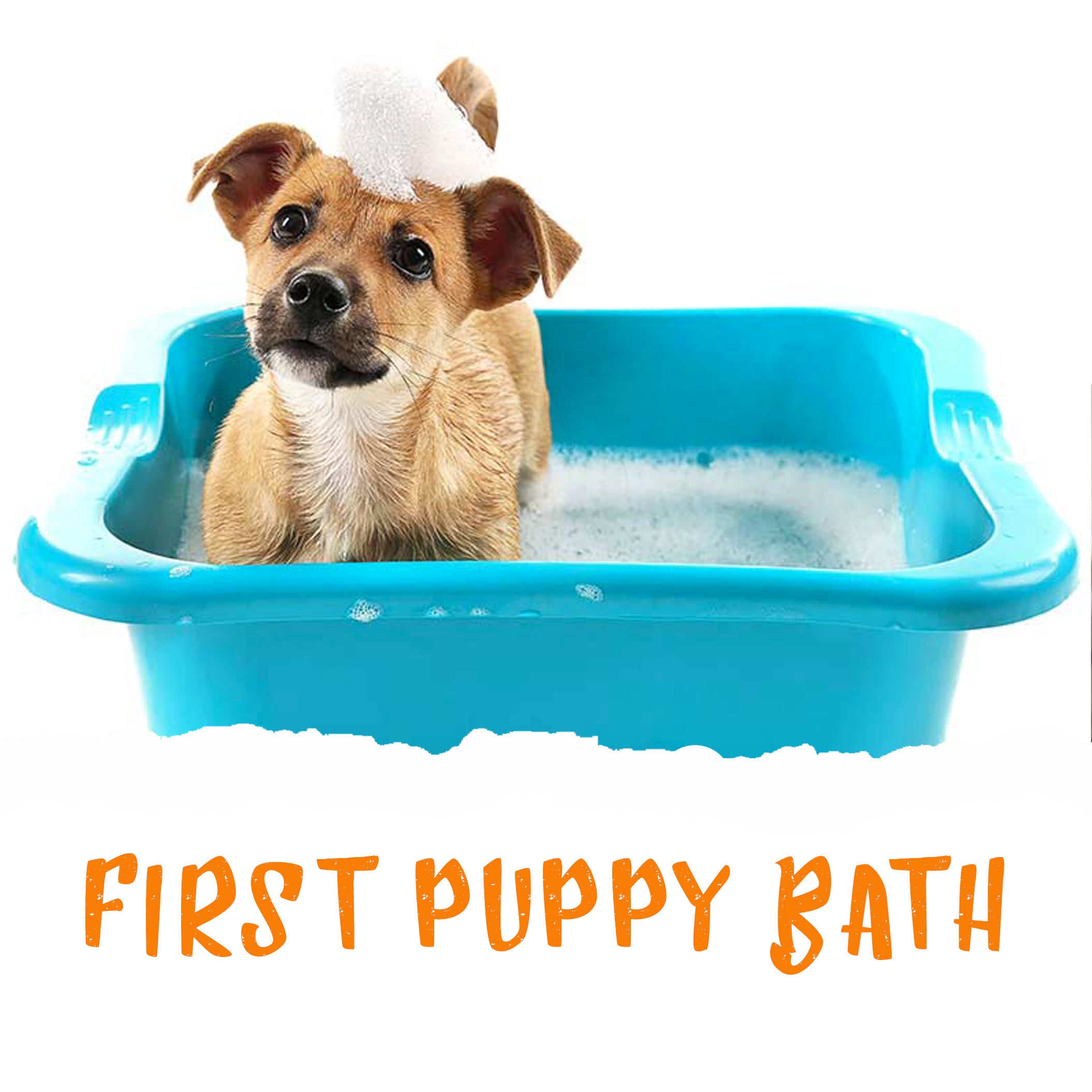 FIRST PUPPY BATH