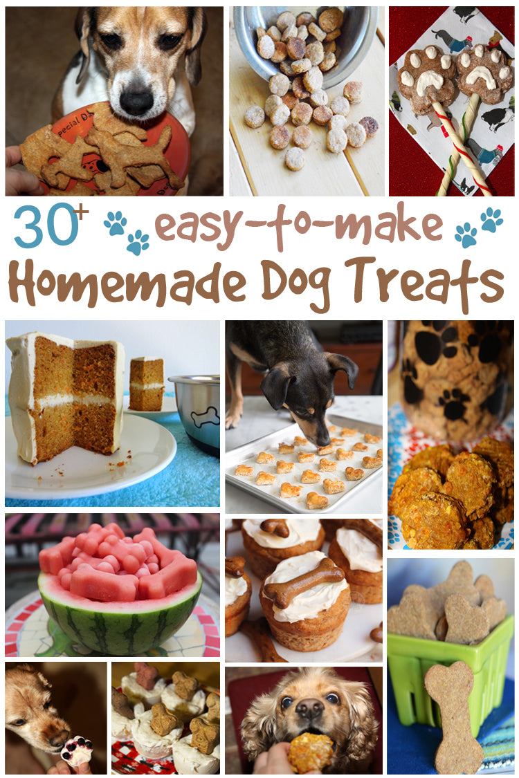 How to Make Homemade Dog Treats