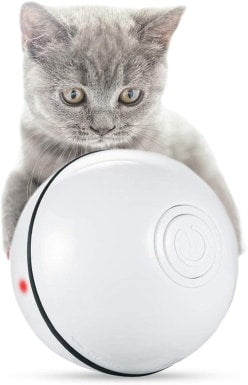How to Find Interactive Cat Toys Enhancing Your Feline's Playtime Experience