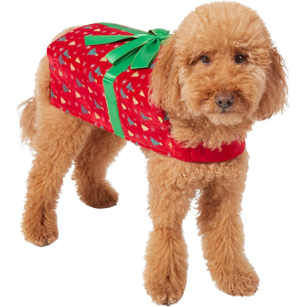 Ho-Ho-Hold On Tight A Guide to Christmas-Themed Dog Harnesses