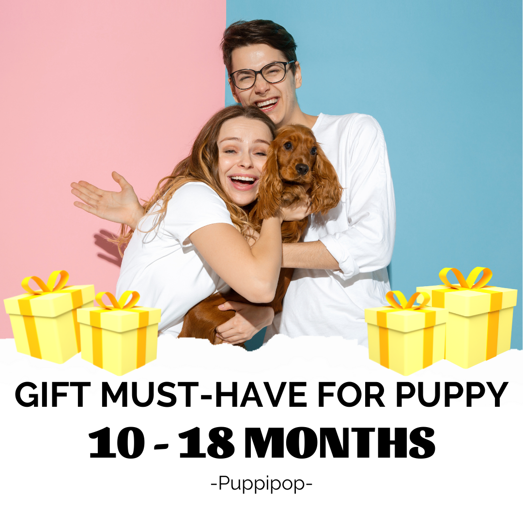 GIFT MUST-HAVE FOR PUPPY 10 - 18 MONTHS