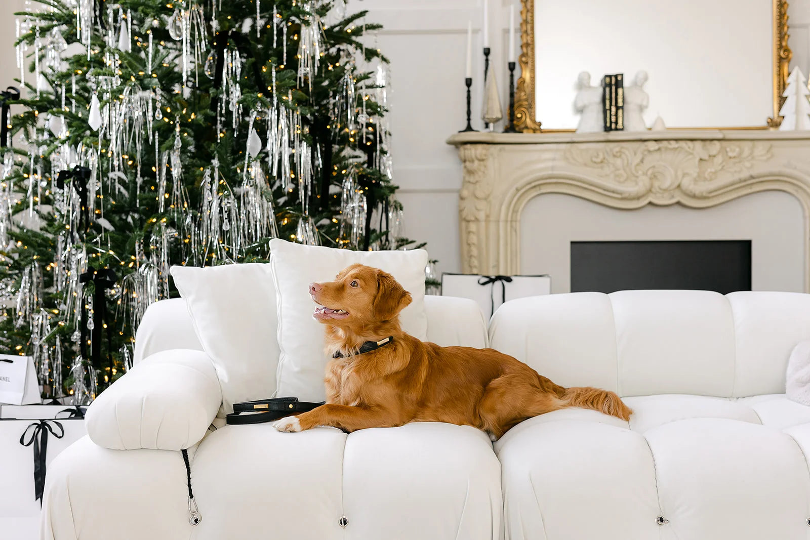 Spoiling Your Furry Friend A Guide to Luxury Dog Christmas Gifts