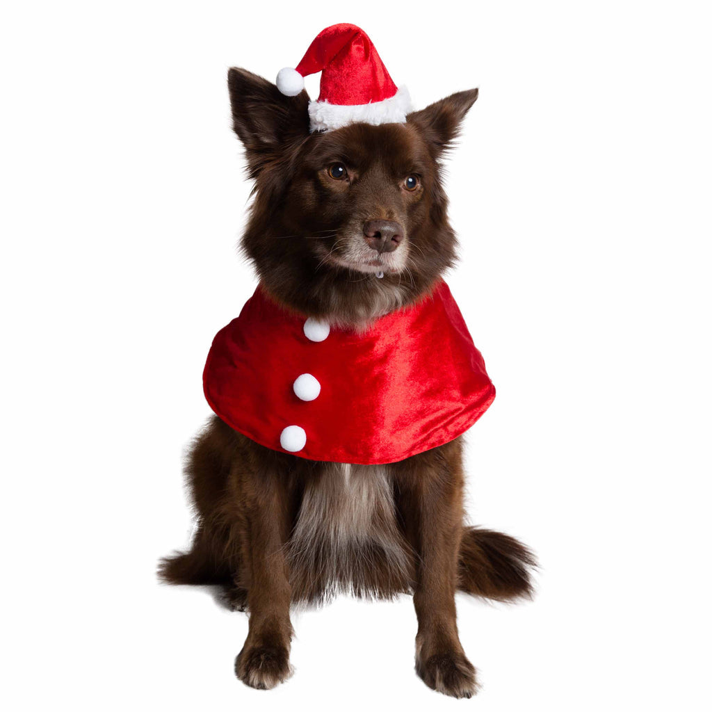 Dress Up Your Pup for the Holidays A Guide to Christmas Dog Clothes