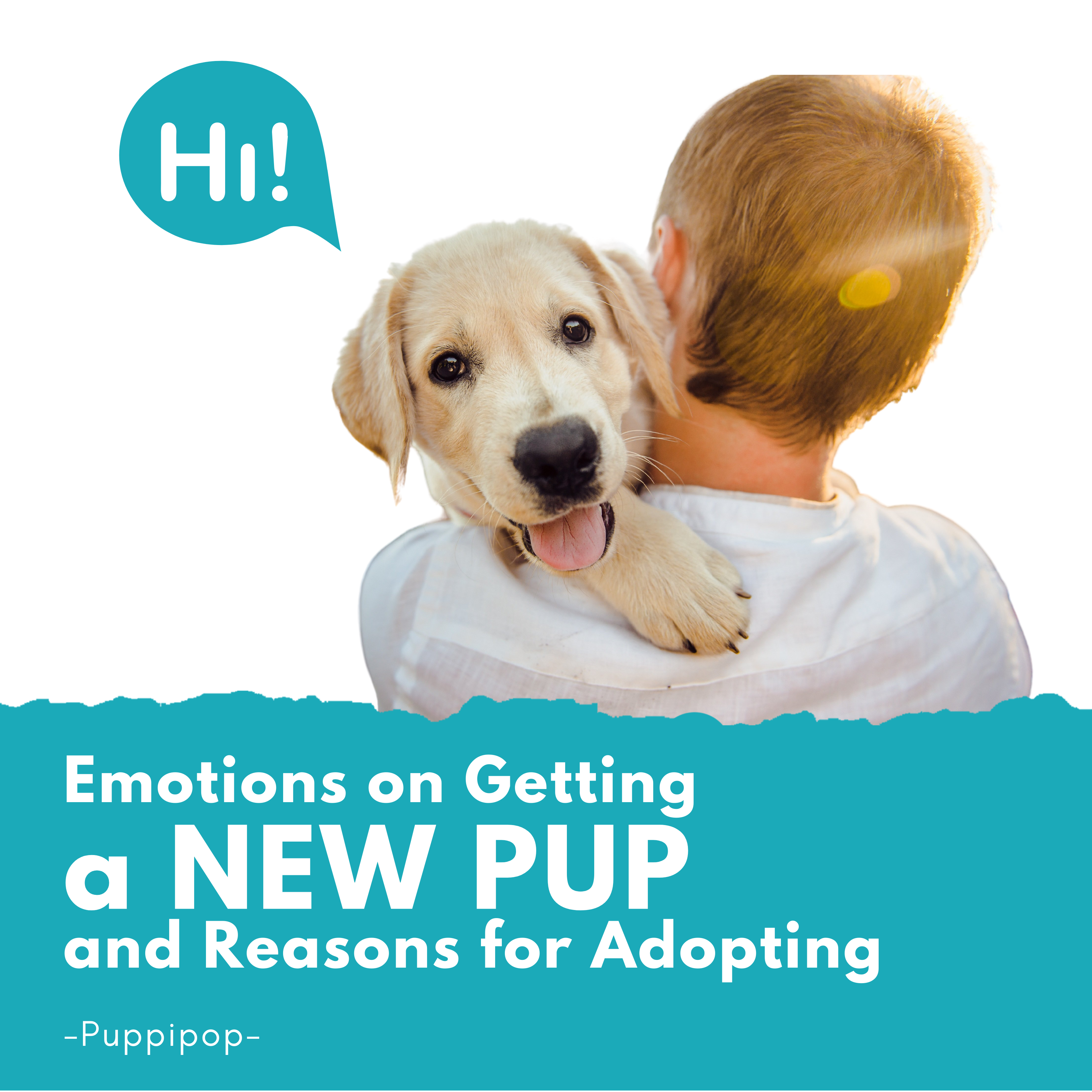 EMOTIONS ON GETTING A NEW PUP AND REASON FOR ADOPTING