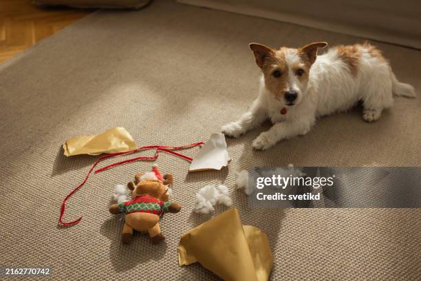 Unleashing the Christmas Cheer  Dog Christmas Toy Boxes