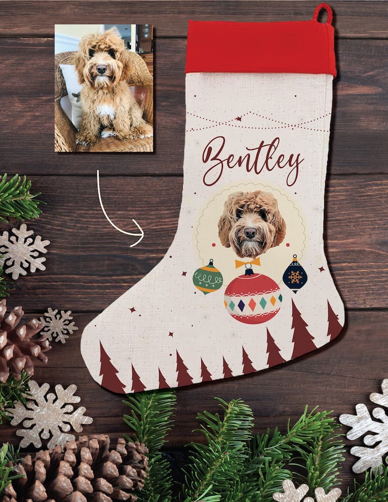 A Tail-Wagging Tradition The Rise of Personalized Dog Christmas Stockings