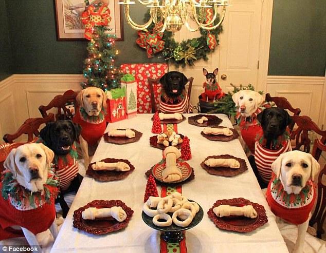 A Doggone Delightful Christmas Festive Treats for Your Furry Friend