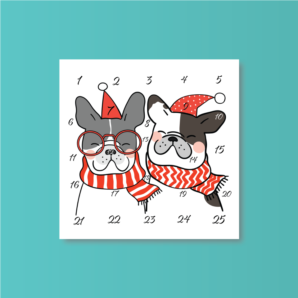 Dog Advent Calendars Festive Fun for Your Furry Friend