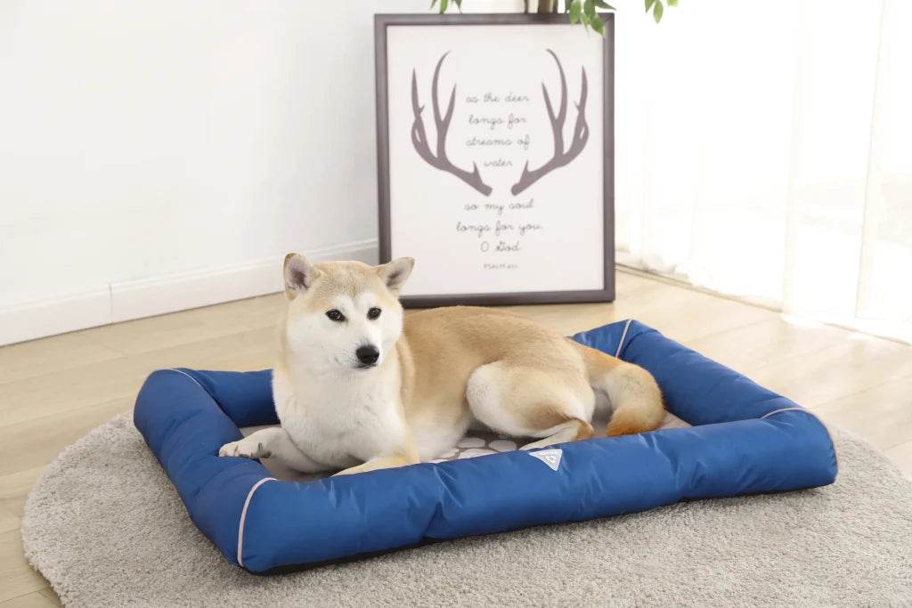 How to Choose the Perfect Dog Bed for Your Furry Friend