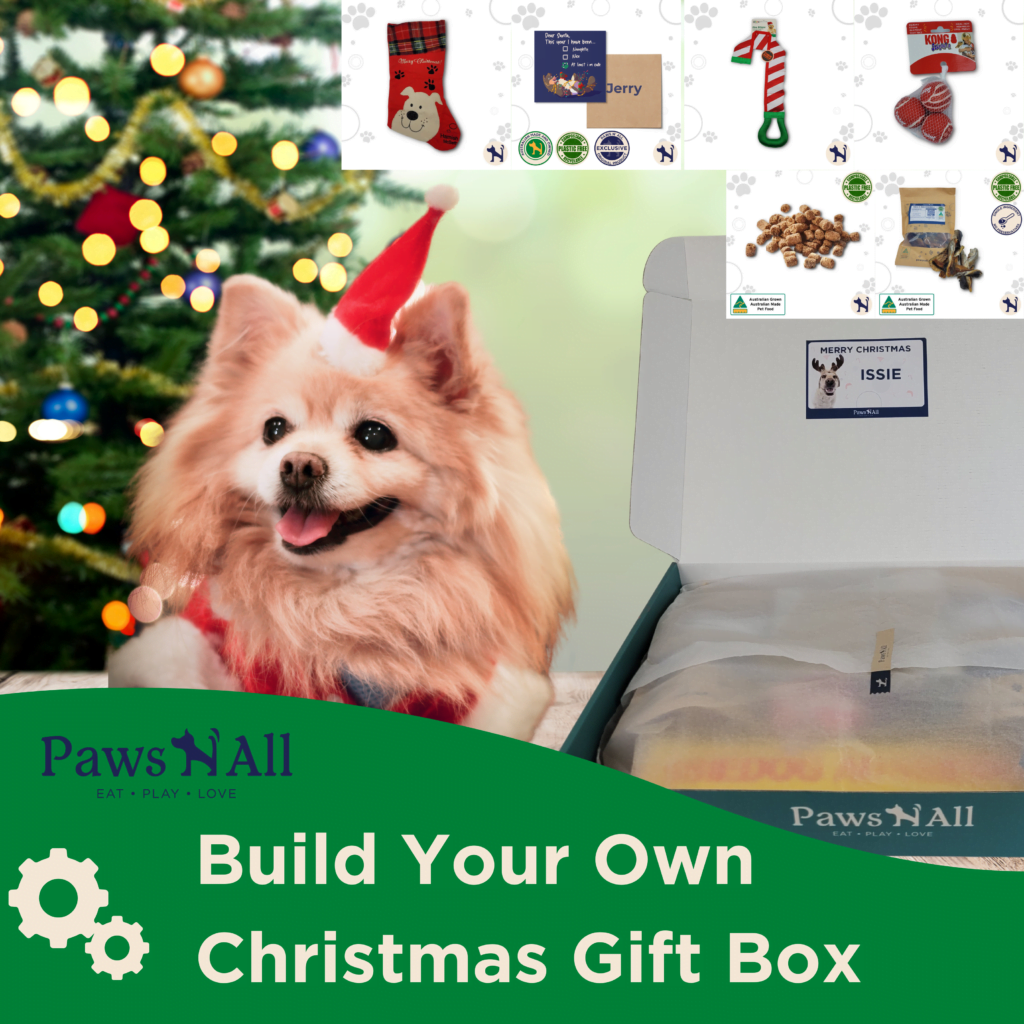 Unwrapping Joy A Guide to Christmas Dog Gift Subscription Boxes