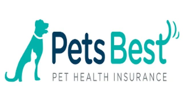 How to Find the Best Pet Insurance A Comprehensive Guide