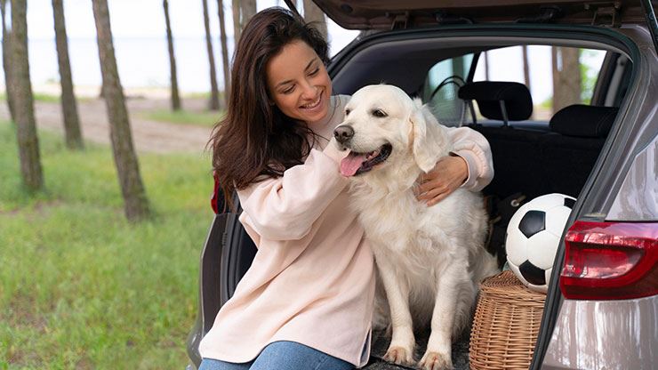 How to Travel with Your Pet Tips and Tricks for a Successful Trip