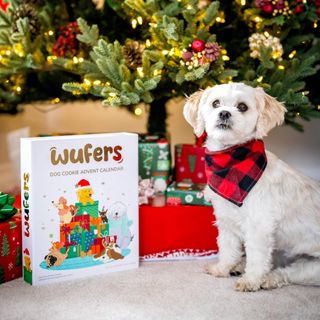 Keeping Your Canine Companion Cozy and Stylish Winter Dog Gear Christmas Gifts