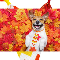 Thumbnail for 10PCS Fall Pet Dog Bow Tie Grooming Pet Tie, Thanksgiving Dog Neckties With Pumpkin, Pet Accessories, Dog Style, Dog Fashion, Gift For Pet 27