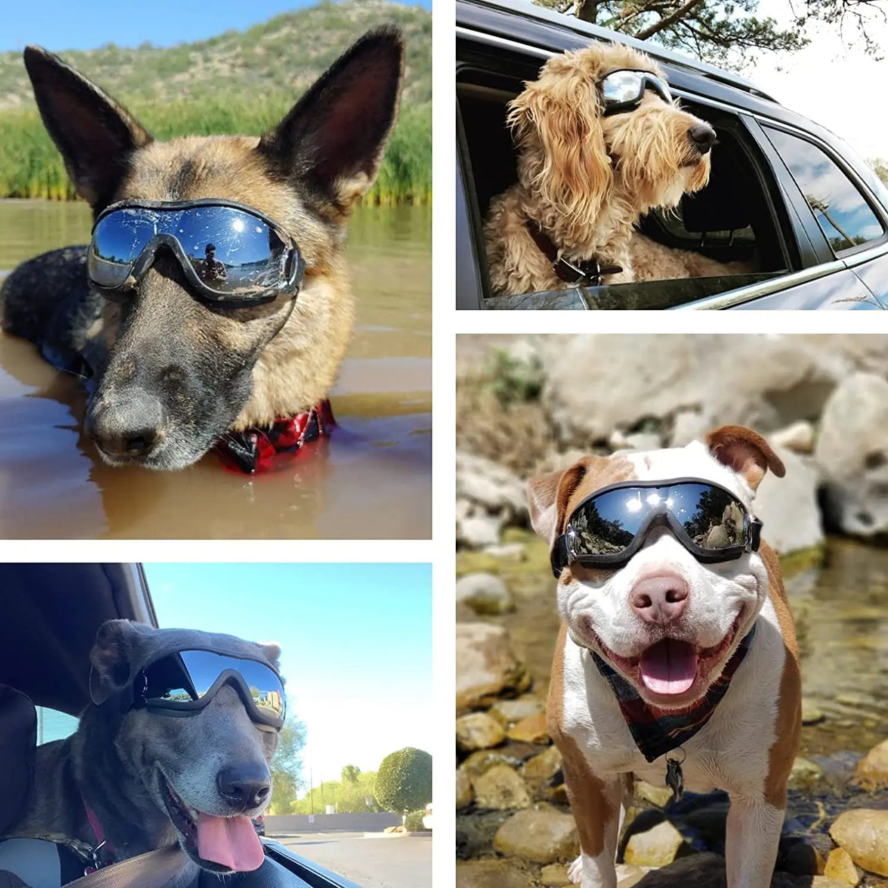 2PCS Protective Goggles for Dogs and Cats - Sunglasses - UV Protection - Cool Glasses for Small Dogs - Outdoor Riding 138
