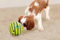 Thumbnail for Wobble Wag Giggle Ball, Interactive Dog Toy, Fun Giggle Sounds When Rolled or Shaken, Pets Know Best, As Seen On TV Medium, Puppy Toys, Gift For Pet 37