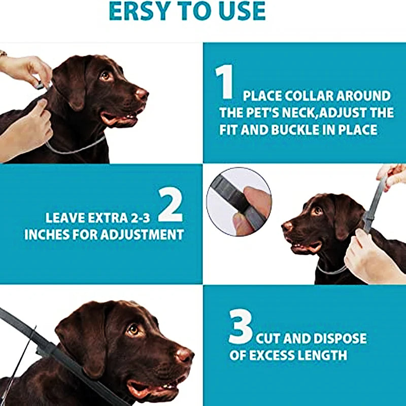 2PCS Natural & Safe Flea and Tick Collar for Dogs, Protection, Waterproof, Free Comb and Tick Removal Tool 95