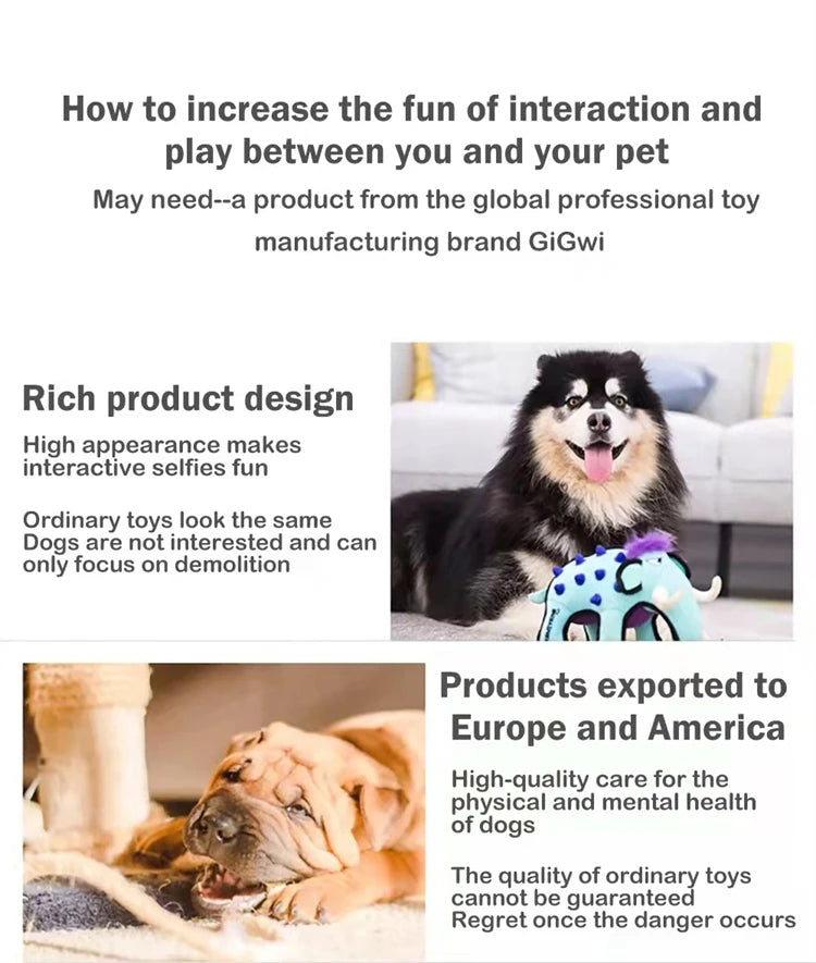 Dog Balls Toys, Durable Interactive Dog Toys, Gigwi Ball, G-Ball Toy With Sound, Gigwi Pet Toys G-Ball, Puppy Toy, Gift For Pet 35
